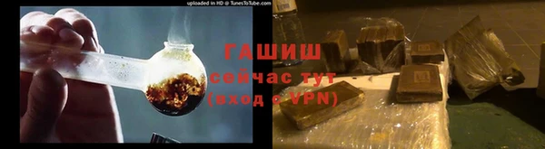 мдпв Богородицк