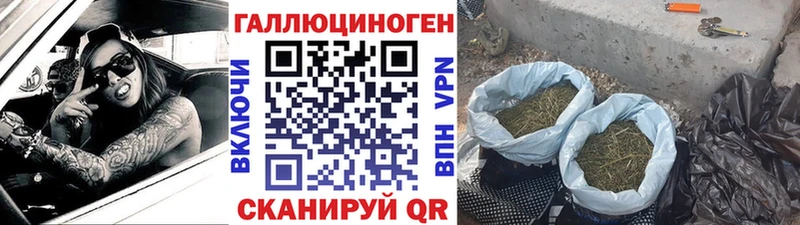 Галлюциногенные грибы Psilocybe  ОМГ ОМГ как войти  Балашов  цены  